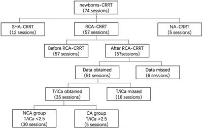 Regional citrate anticoagulation for continuous renal replacement therapy in newborns